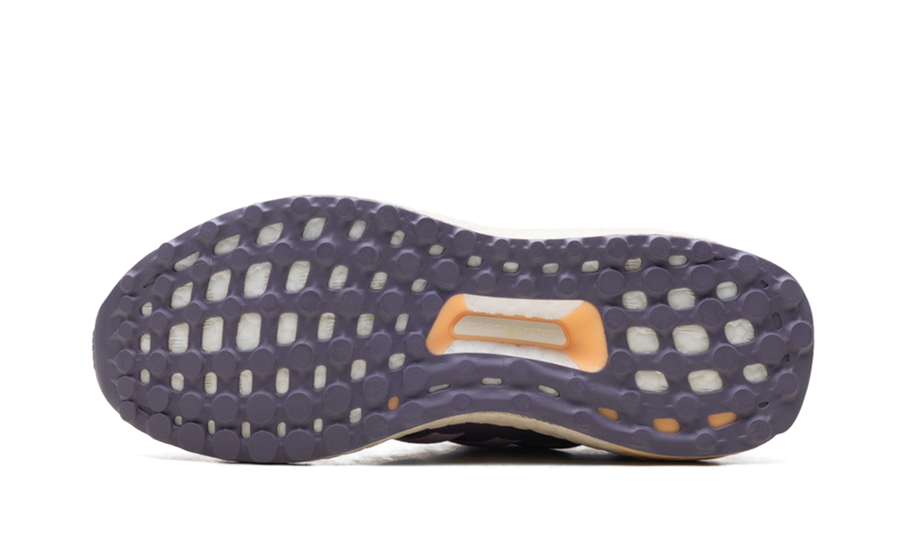 Ultraboost 1.0 Wmns "Wonder Orchid" ID9680